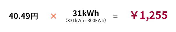 40.49円×31kWh(331kWh - 300kWh)=¥3,576